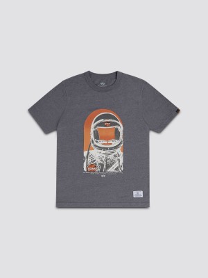 Camiseta Alpha Industries Nasa Moon Man Hombre Grises Naranjas | 863940-MPG