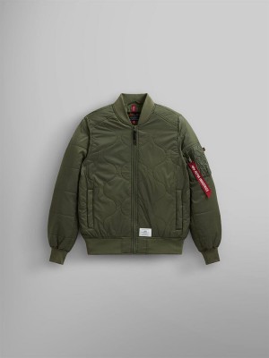 Chaqueta De Bombardero Alpha Industries L-2b Acolchado Hombre Verdes | 724510-EGD