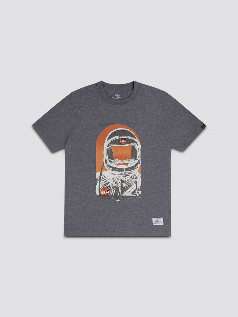 Camiseta Alpha Industries Nasa Moon Man Hombre Grises Naranjas | 863940-MPG